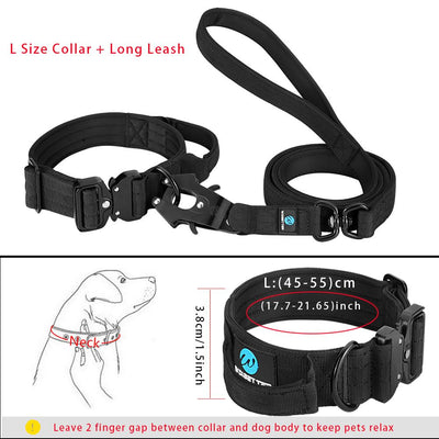 k9 collar and leas sets