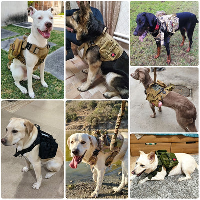 TACTICAL.K9 HARNESS AND LEASH SETS