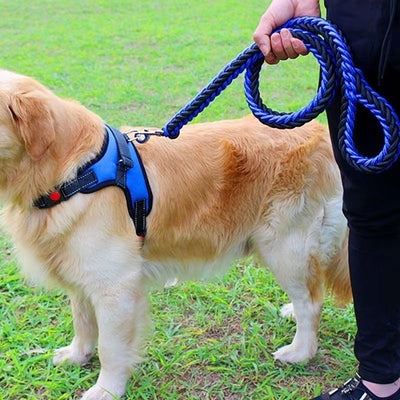 Nylon Dog Leash For Medium and Large Dogs