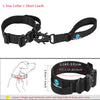 k9 collar and leas sets